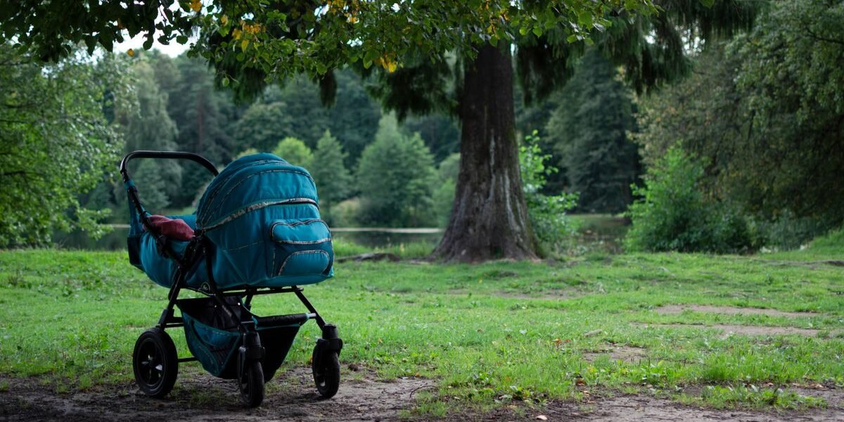 Wandelwagen in een park, klaar om te vergelijken en te kiezen