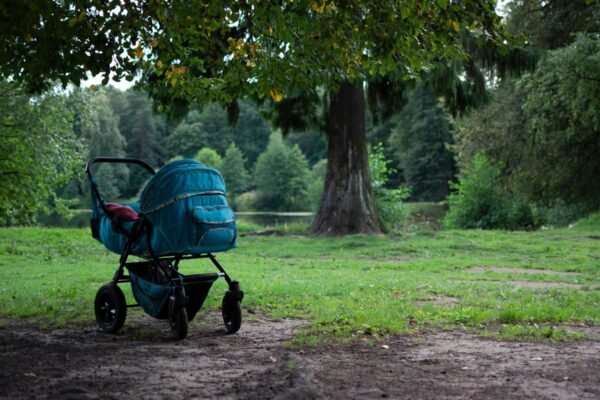 Wandelwagen in een park, klaar om te vergelijken en te kiezen